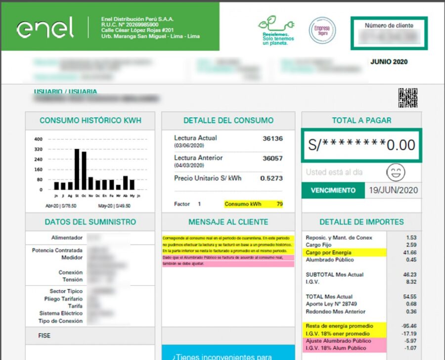 Cómo puedo ver mi recibo de luz con mi DNI en México